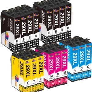 Clorisun 29XL Ink Cartridges Multipack for Epson 29X